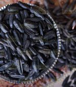 Sunflower seeds - Image 2